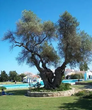 Pedras Del Rei *